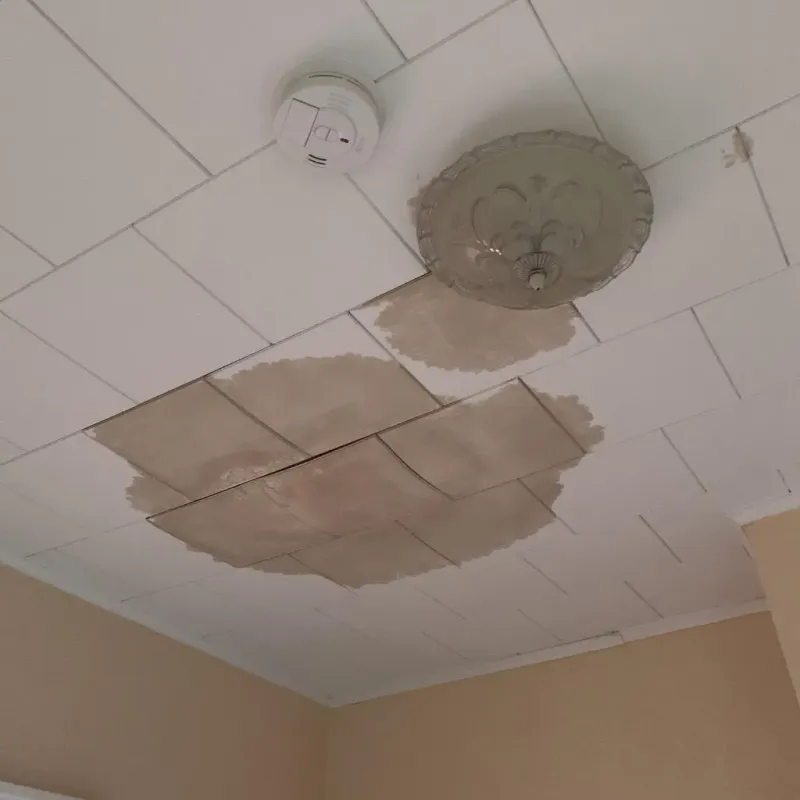Ceiling Water Damage Repair in Saugerties South, NY